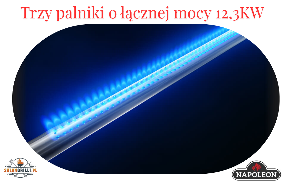 Palniki o mocy 12,3 kW